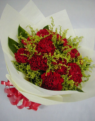 16 Red Carnation Bunch